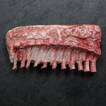 overhead view of a Spanish Iberico pork rack with frenched bones