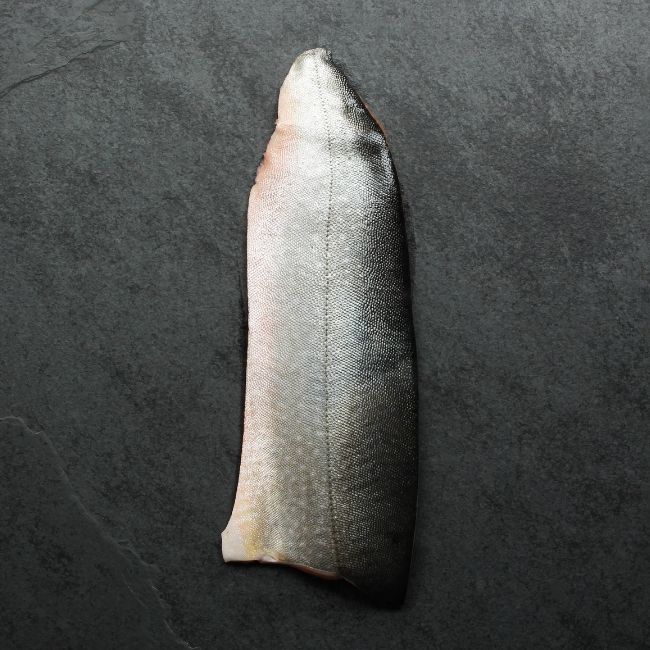 Overhead image of the skin side of a raw, bright orange fillet of Arctic Char