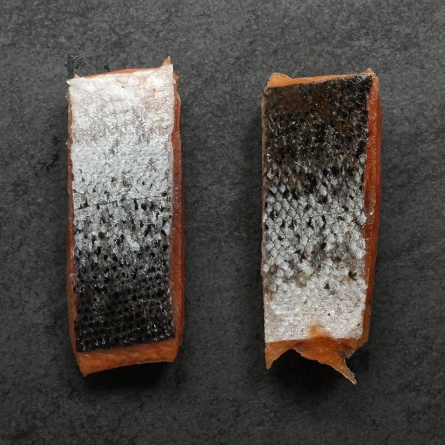 raw, frozen salmon filet