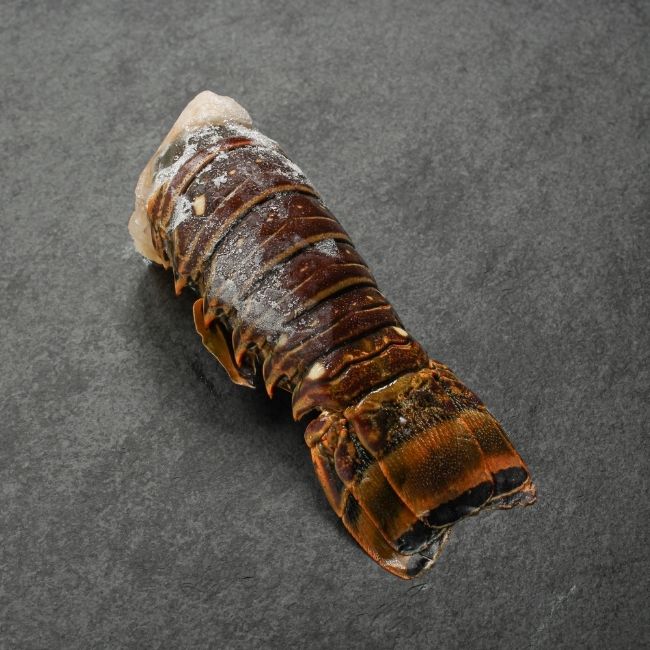 angled view of a raw, frozen Cuban lobster tail