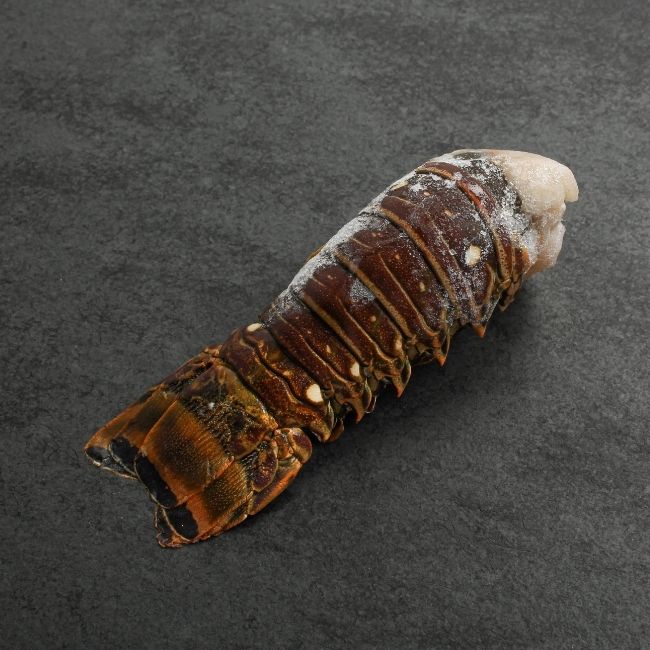 angled view of a raw, frozen Cuban lobster tail