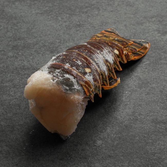 angled view of a raw, frozen Cuban lobster tail