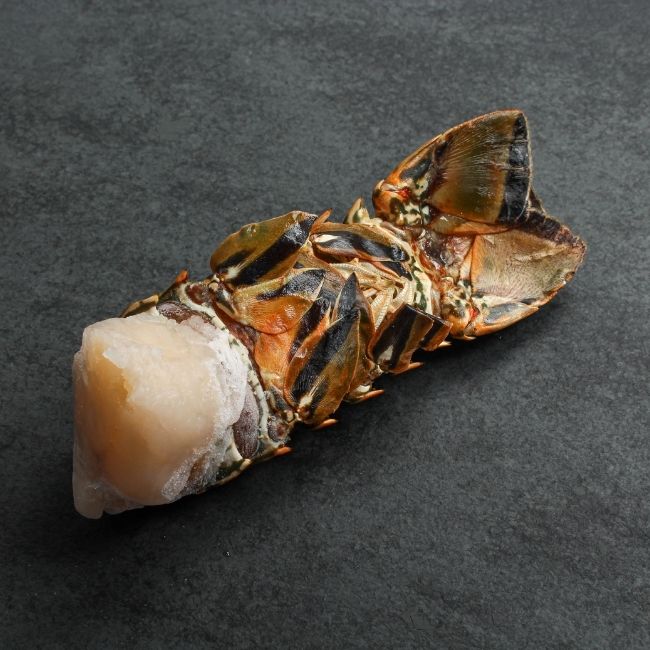 angled view of the underside of a raw, frozen Cuban lobster tail